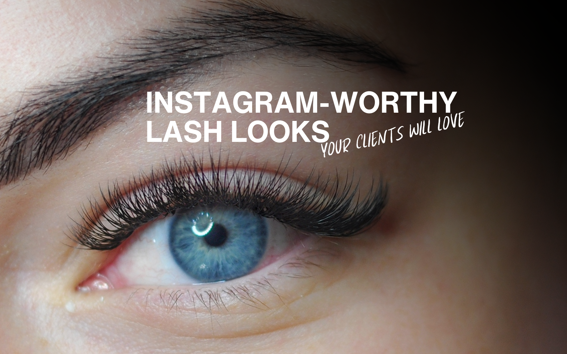 Instagram-Worthy Lash Looks